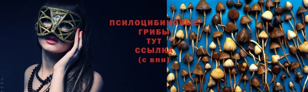 ECSTASY Бугульма